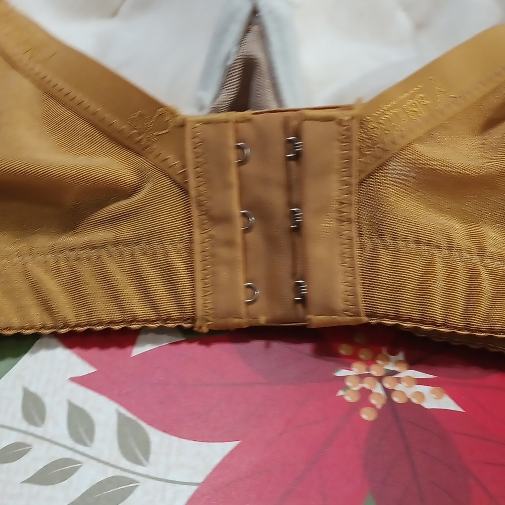 COPY - New bra without tag size 36b - Picture 5 of 8